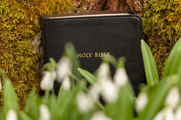 Christian easter concept and holy bible in a forest.