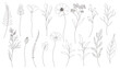 © Mimi Art Smile - Spring flower and leaf line art set. Elegant botanical flowers vector illustration.