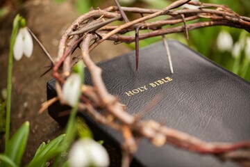 Wall Mural - Crown of thorns on holy Bible with flower. Easter concept.