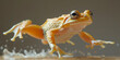 Frog Leaping on Water on an Isolated Grey Background. Generative AI.