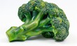 Broccoli on a white background. Close-up shot.