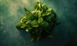 Top view of fresh spinach leaves on green background. Healthy food concept