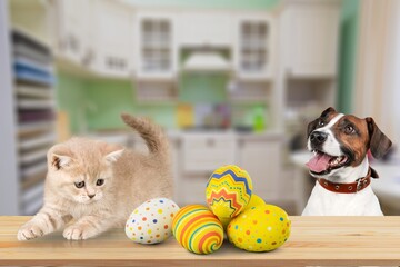 Wall Mural - Cute dog and cat looking at Easter egg on desk. Happy Easter.