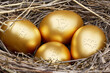 Golden Egg in a nest basket Bitcoin Crypto Cryptocurrency Profit finance and business future technology concept 