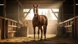 hay horse in barn