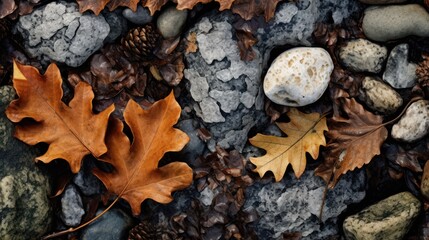 Sticker - oak leaves on forest floor with nature patterns with stone and leaf