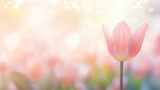 Fototapeta Tulipany - Closeup of blooming tulip flower