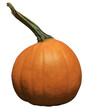Pumpkin isolated on a transparent background.