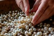 closeup of persons hands sorting cultured pearls