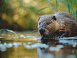 A beaver sits by the water among green leaves at sunset.