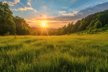 Wall Mural - panoramic landscape with sun, forest and meadow