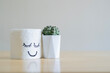 Close-up roll of white toilet paper with a painted happy face stands with cactus.