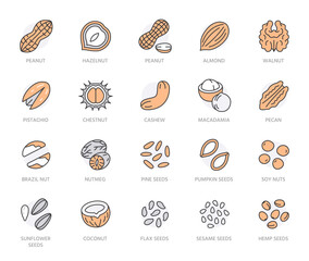Poster - Nuts flat line icons set. Peanut, almond, chestnut, macadamia, cashew, pistachio, pine seeds, nutmeg vector illustrations. Outline signs for healthy food store. Orange Color. Editable Strokes