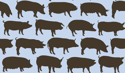 Sticker - The seamless background with domestic pigs. 
