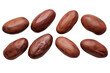 Set of cocoa beans isolated on a transparent background.