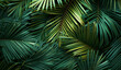 © Lemar - palm tree leaves