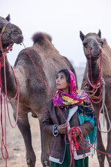 Wall Mural - Portrait of an young Indian rajasthani woman in colorful traditional dress carrying camel at Pushkar Camel Fair ground during winter morning.