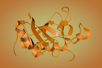 Wall Mural - Structure of human sonic hedgehog on orange background. Ribbons diagram based on protein data bank entry 6pjv. Scientific background. 3d illustration