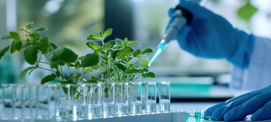 Poster - Plants in lab tube. Science laboratory experiments analysis and genetic engineering study.