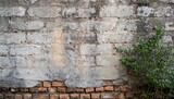 Fototapeta  - Old brick wall and old gray cement wall with cracked color with tree up some space