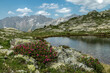 Lacs de Pétarel en été avec massif de Rhododendron , Massif des Ecrins , Hautes Alpes , France