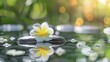 Zen spa concept background - Zen massage stones with frangipani plumeria flower in water reflection : Generative AI