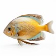 AI generated illustration of a vibrant and colorful tropical fish on a white background