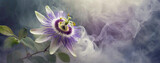 Fototapeta Fototapeta w kwiaty na ścianę - Passiflora
