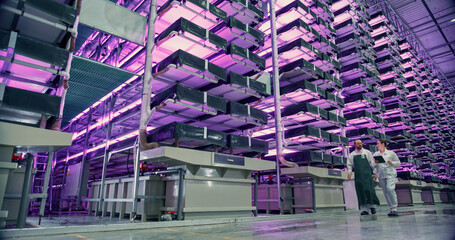 Wall Mural - Vertical Farm Operators Having a Conversation at Work while Walking in a Hall with Plants on a Rack. Workers Growing Sustainable Produce with an Industrial Scale Hydroponics System WIth UV Lightning