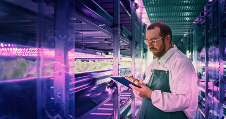 Wall Mural - Biology Scientist Working in Vertical Farm Facility Next to Rack with Natural Eco Plants. Farming Engineer Using a Tablet Computer, Organizing and Analyzing Crops Information Before Distribution