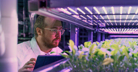 Wall Mural - Hydroponics Engineer Inspecting and Analyzing Crops Growing Potential Before Selling. Portrait of Vertical Farm Technical Specialist Working in a Facility with Ultraviolet LED Lights