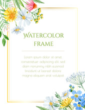 Watercolor Floral Frame With Chamomiles, Dandelions And Yarrow For Invitation
