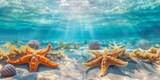 Fototapeta  - Marine Life Thrives As Starfish And Sea Urchins Adorn The Sandy Seabed