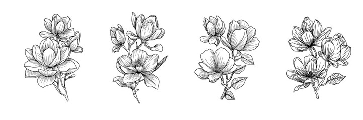 Wall Mural - Peony flower and leaves drawing. Vector hand drawn engraved floral card. Botanical rose, branch and berry Black ink sketch. Great for tattoo, invitations, greeting cards, decor 