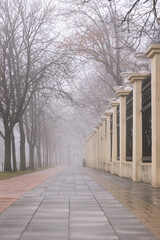 Wall Mural - The palace in the park. Foggy morning in the city. Foggy cityscape.