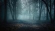 © RocknRoller Studios - Mysterious Foggy Woodland. Eerie Winter Background.