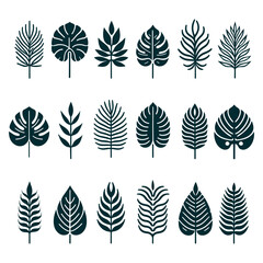 Wall Mural - Set of palm leaves silhouettes, isolated. Vector
