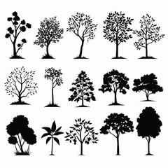 Wall Mural - Tree silhouette set vector illustration collection