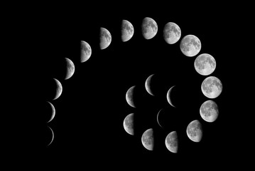 Wall Mural - all phases of moon: waning crescent, third quarter, waning gibbous, full moon, waxing gibbous, first