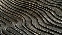 Wave-like Patterns And Curves Of Tree Rings Background