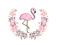 Pink Flamingo On A White Background