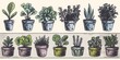 A row of potted plants sitting on top of a table. Can be used for home decor or gardening themes