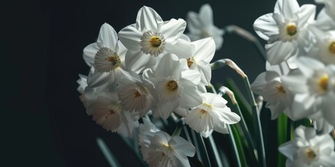 Poster - A beautiful arrangement of white flowers in a vase. Perfect for adding a touch of elegance to any space