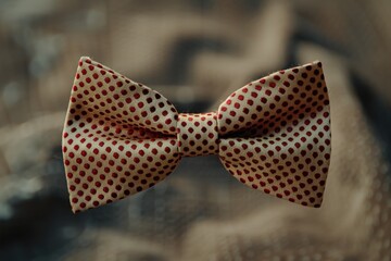 Poster - A bow tie placed on a chair, perfect for formal events or fashion-related projects