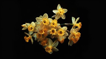 Wall Mural - A bunch of yellow flowers on a black background. Can be used to add a pop of color and vibrancy to any design
