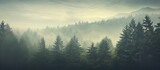 Fototapeta  - Misty landscape with fir forest in hipster vintage retro style. Creative Banner. Copyspace image
