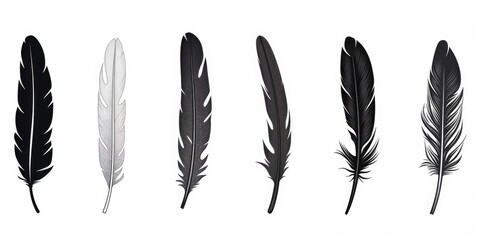 Poster - Four different colored feathers arranged together. Can be used for various creative projects