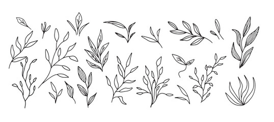 Vector collection of hand drawn flowers illustration.