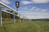 Fototapeta Miasto - Low angle view of horse racing track