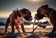 two boxer dogs playing tug of war on the beach with a ball toy. Generative AI